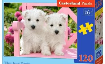 Castorland Puzzle 120 elementów. Szczeniaczki białe terriery