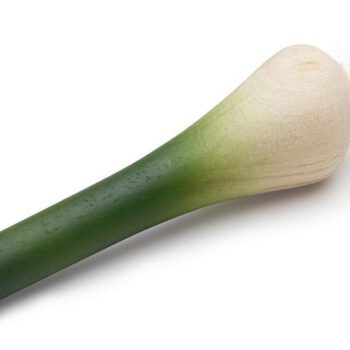 Erzi ZIELONA CEBULKA do zabawy w sklep 12051