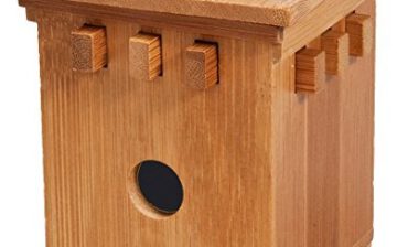 Fridolin IQ Test Bamboo Safe 1 z bambusa | knacke sejf