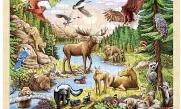 Goki puzzle Zwierzęta Północnoamerykańskie