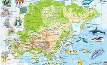 Larsen A30 Fizyczna mapa Azja, wydanie holenderskie, puzzle ramy z 63 częściami A30-NL