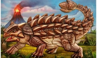 SAMOPRZYLEPNE PUZZLE DO SKŁADANIA DINOZAUR 3