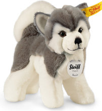 Steiff Piesek Husky Bernie stojący 17cm 104985