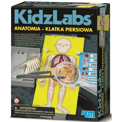 4M KidzLabs Anatomia klatka piersiowa 3373