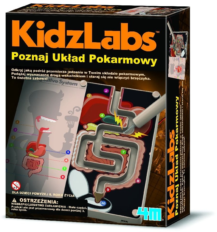 4M KidzLabs Poznaj Układ Pokarmowy