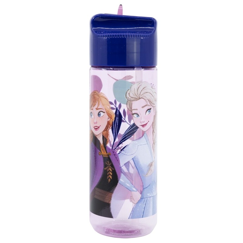 Bidon XL 540ml TRITAN Frozen Elza