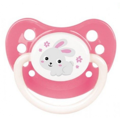 Canpol babies babies smoczek silikonowy anatomiczny ""Bunny&Company"" powyżej 18 miesięcy 23/273 1 szt