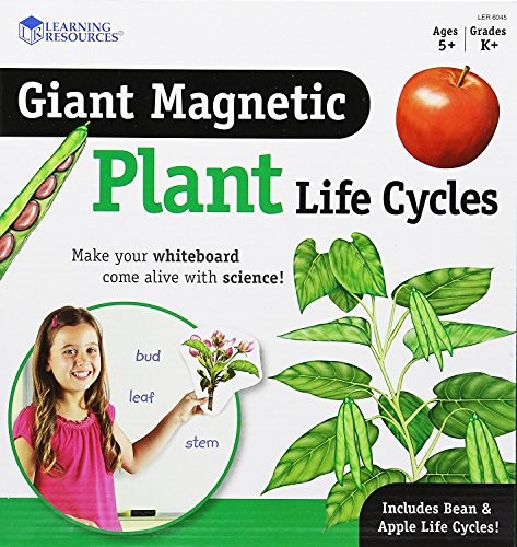 Learning Resources Riesiger magnetyczny cykl życia rośliny, LER6045