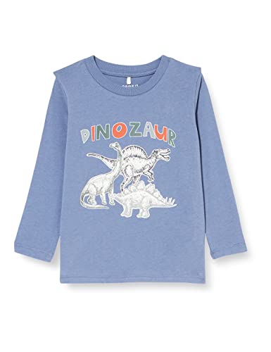 NAME IT Baby Boys NMMTRULLE LS TOP PB koszulka z długim rękawem, Wild Wind, 86, Dziki wiatr, 86