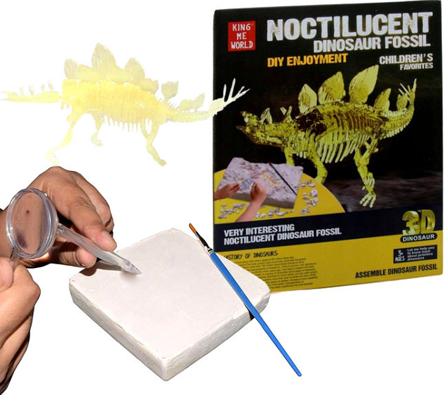 Norimpex Skamielina dinozaur NO-1002906
